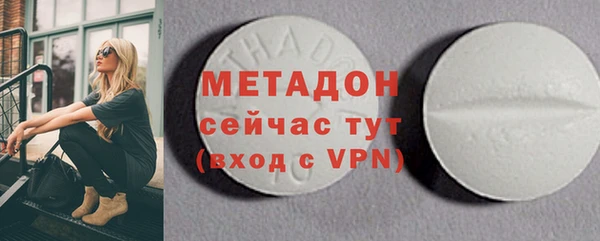 шишки Няндома