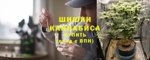 spice Нягань